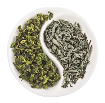 Thé vert, thé blanc, quelles différences ? Thé vert et thé blanc
