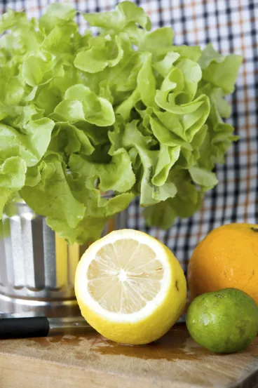 Laitue assaisonnée avec du citron et des agrumes