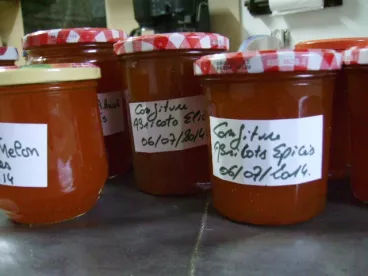 CONFITURE D'ABRICOTS aux EPICES