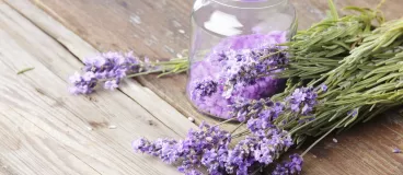 Un pot de lavande sur une table en bois