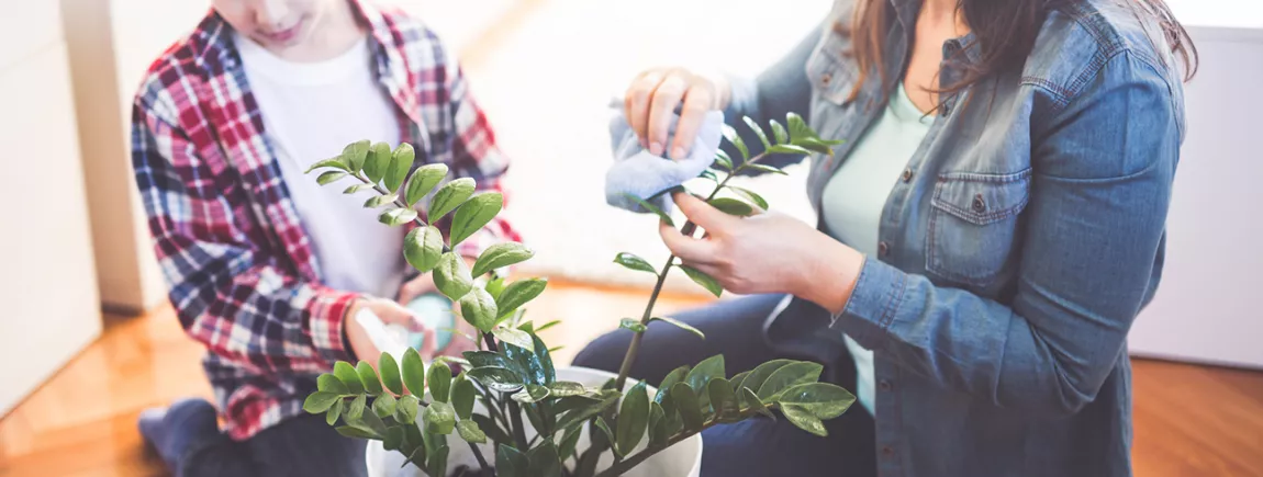 Une mère et son fils entretiennent une plante.