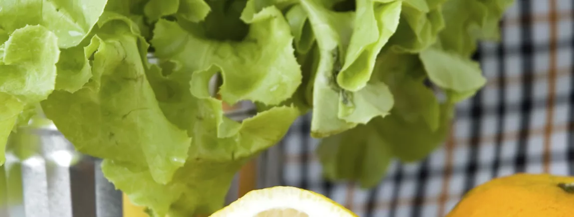 Boostez vos salades avec les agrumes ! Laitue assaisonnée avec du citron et des agrumes