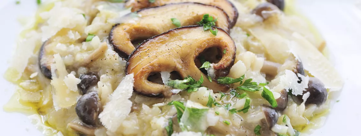 Le risotto aux champignons