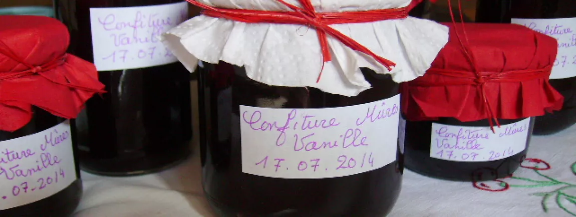 CONFITURE DE MURES ET VANILLE